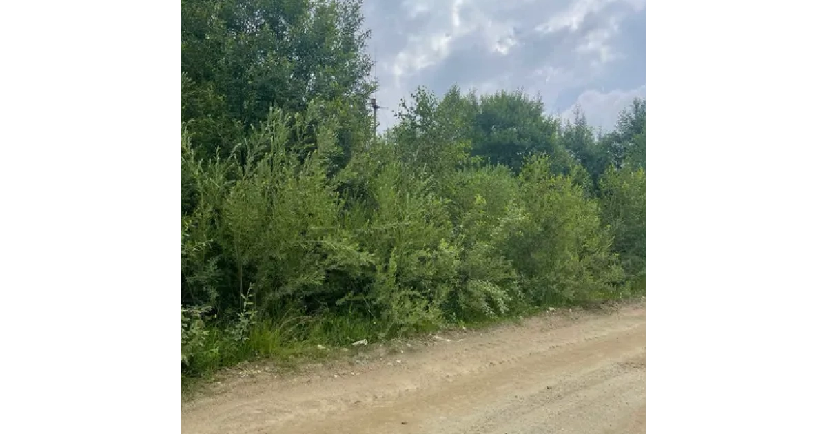 Співвласники парку розваг "Уруру" інвестували 8 млн грн у придбання двох нових ділянок у Східниці