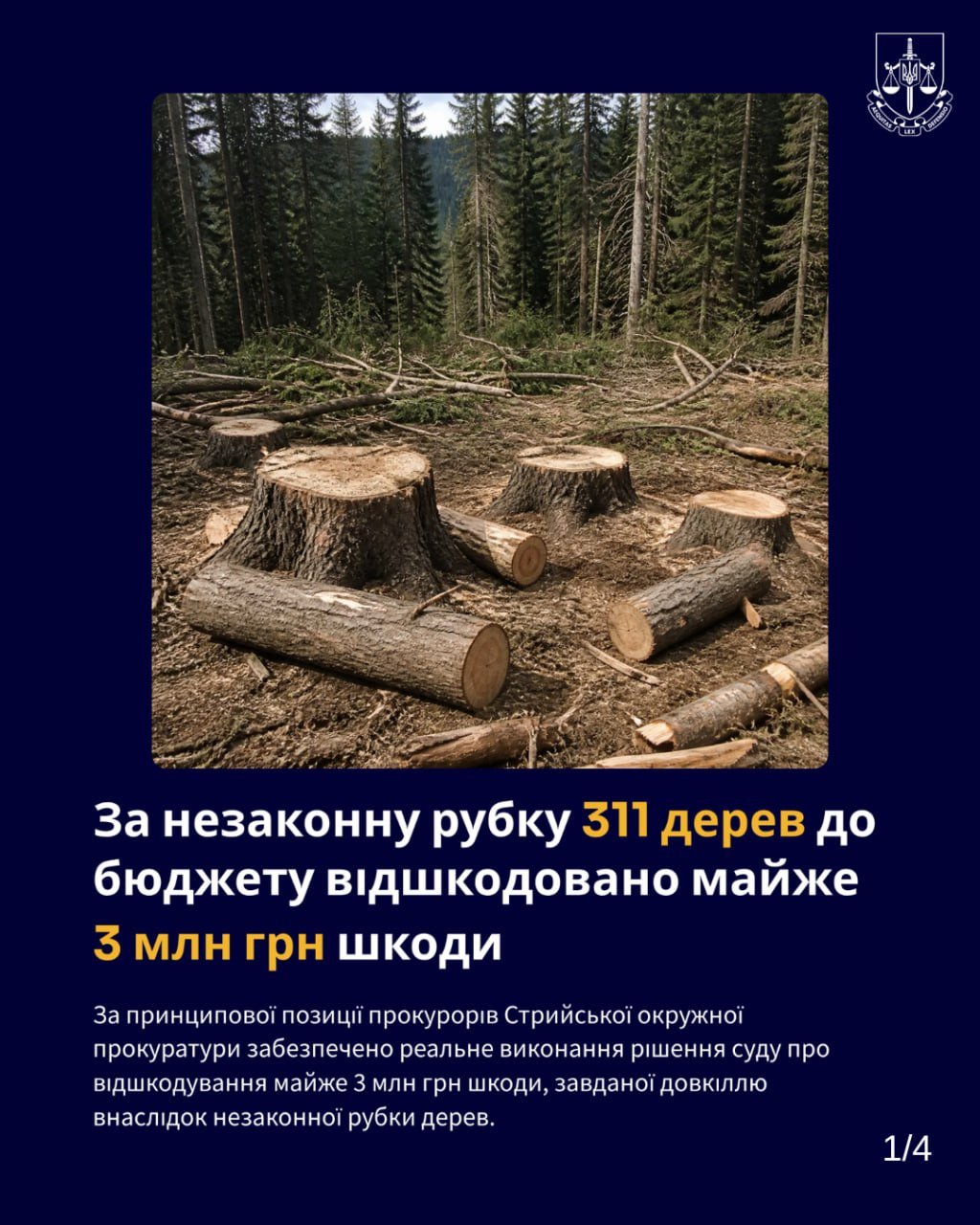 На Стрийщині відшкодовано майже 3 млн грн за незаконну вирубку