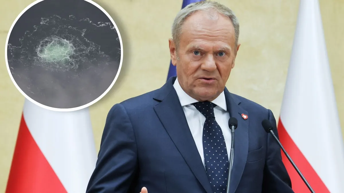 Туск: Німеччина не повинна вживати репресивних заходів щодо підозрюваних у підриві "Північних потоків"