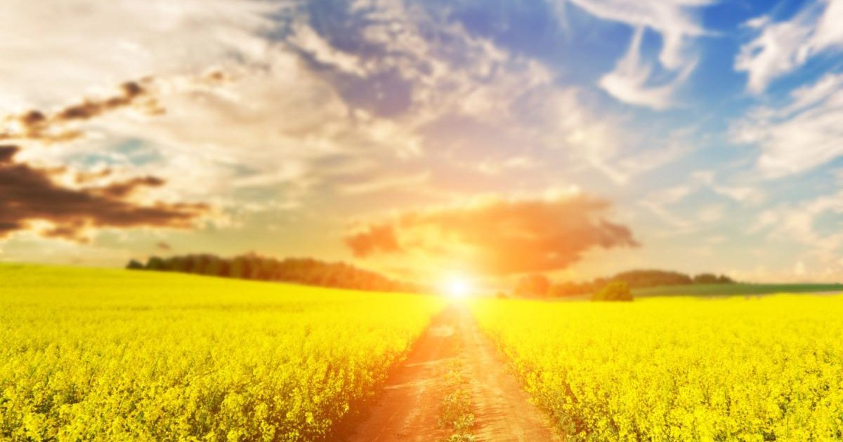 У Львівській області прогнозують до +33° та підвищений рівень пожежної небезпеки