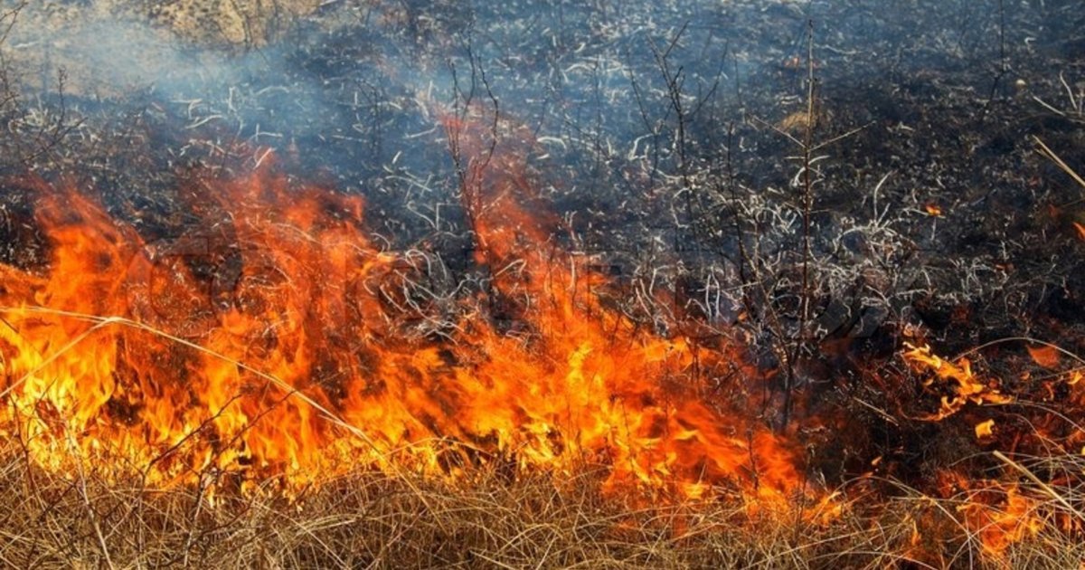 У Львівській області рятувальник опинився у реанімації після потужної пожежі