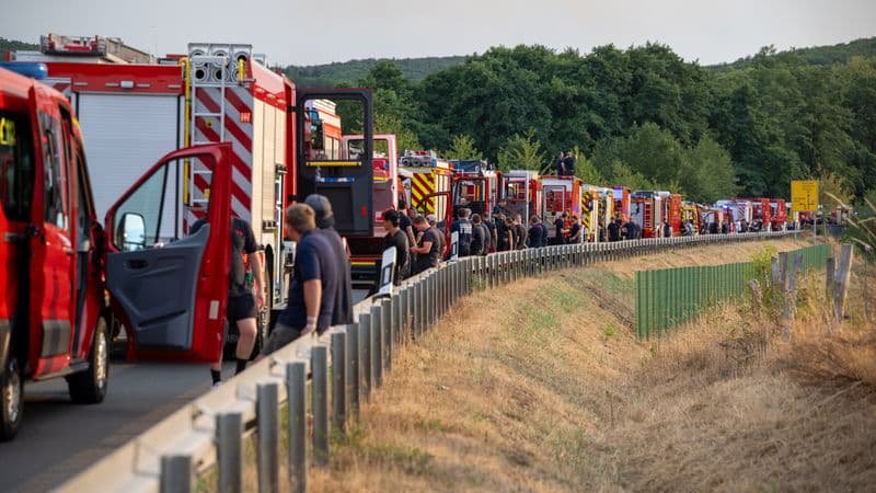 У Німеччині пожежники ліквідують наслідки рекордної лісової пожежі