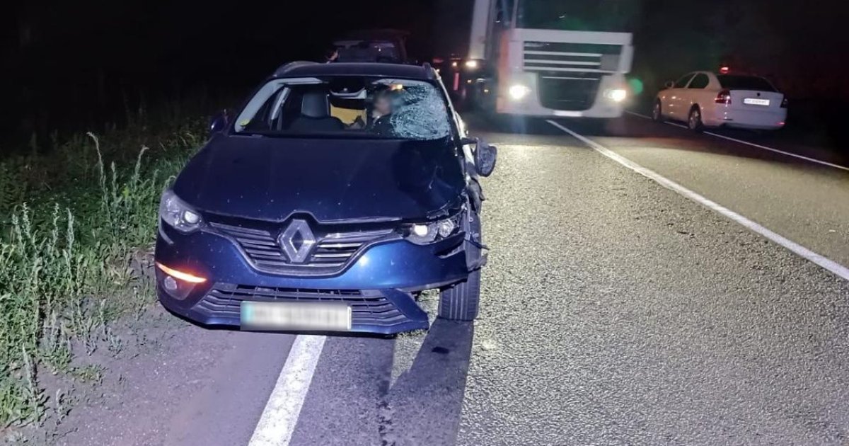 У селі поблизу Камʼянки-Бузької автомобіль Renault наїхав на пішохода, який загинув внаслідок ДТП