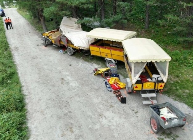 У Швейцарії внаслідок ДТП з кінним екіпажем загинула одна особа, 12 - постраждали