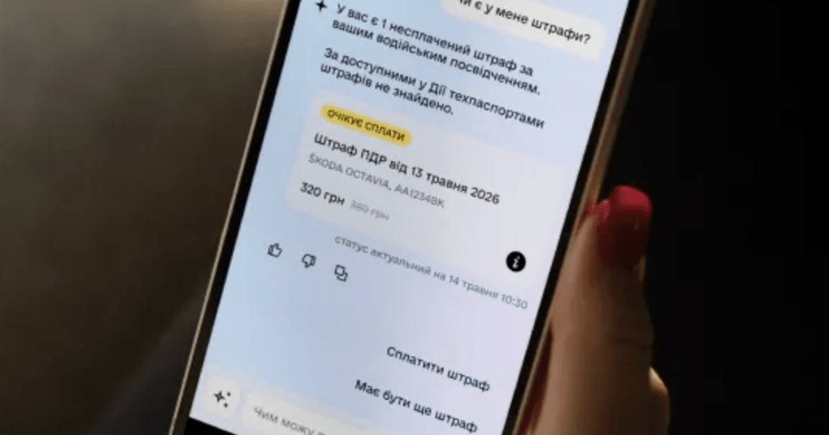 У Стрию запровадили оновлення — штрафи за неправильне паркування тепер можна переглядати в додатку «Дія»