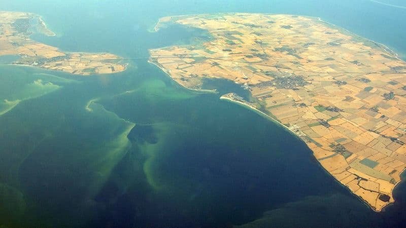 У водоймах північної Німеччини зафіксовано поширення потенційно токсичних водоростей