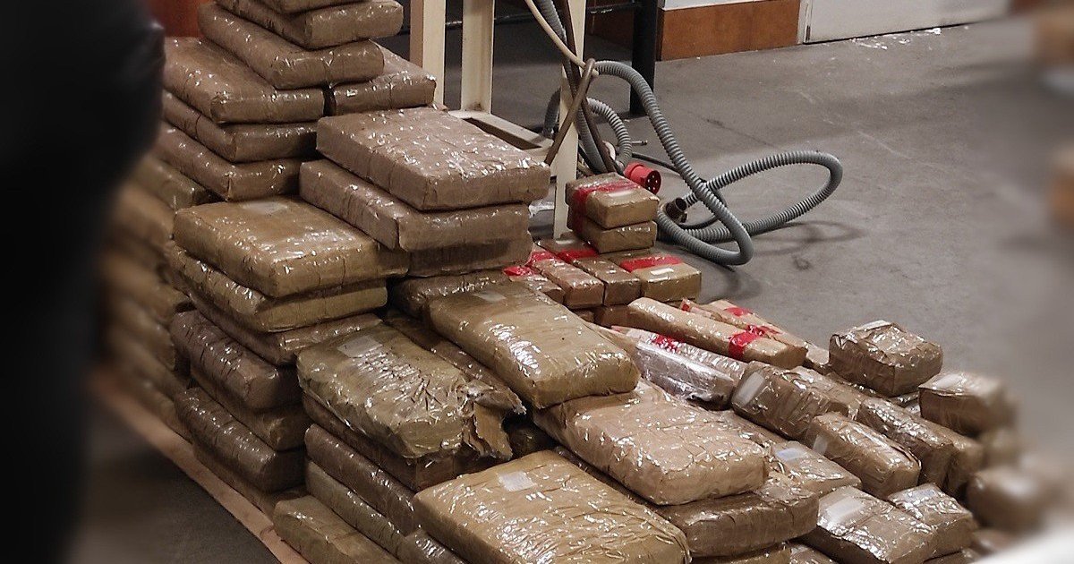 У Яворові прикордонника покарали за пропуск 300 кг гашишу без перевірки службовою собакою