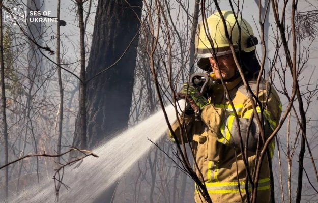 Українські рятувальники у Франції успішно ліквідували загрозливу пожежу поблизу населеного пункту