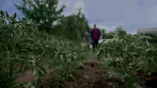 21,5% території України під загрозою мін: важливі правила безпеки для збереження життя