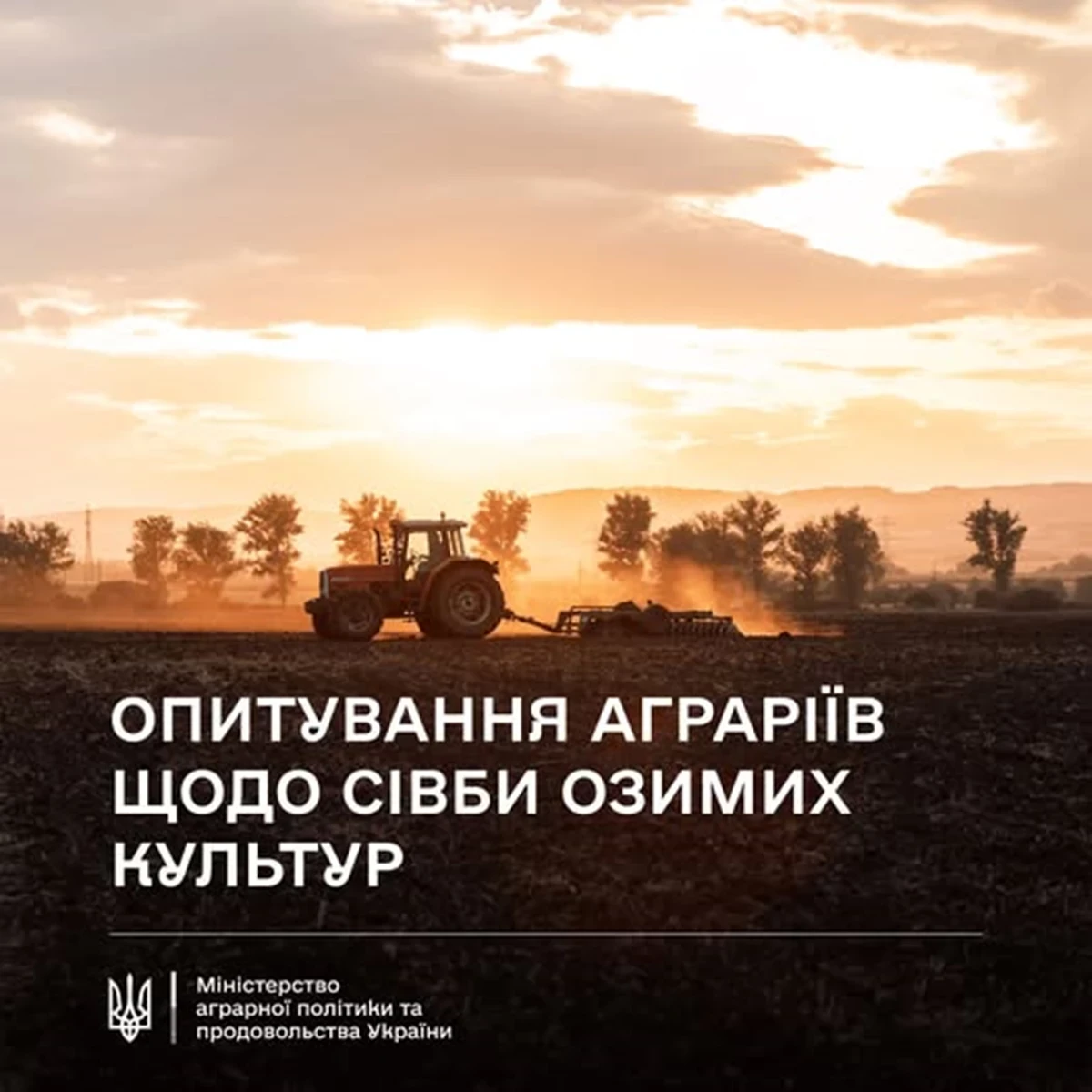 Мінагрополітики проводить опитування аграріїв про сівбу озимих на урожай 2027 року
