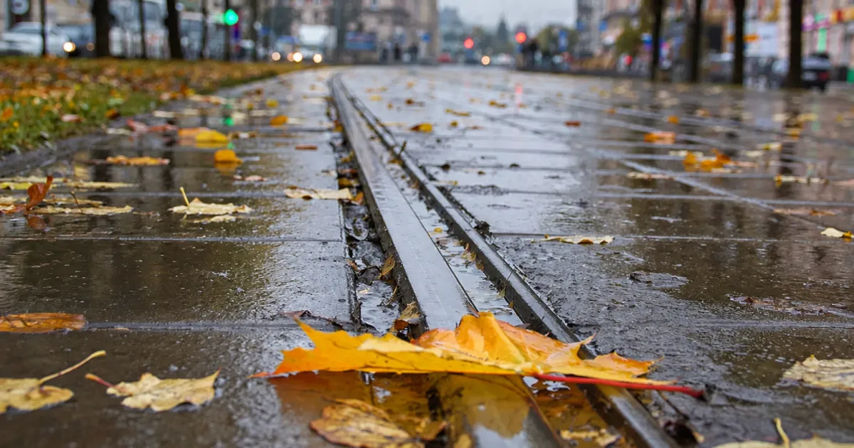 На Львівщині 17 вересня прогнозують雨ي грози та дощі