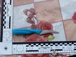 На Стрийщині 60-річного чоловіка судитимуть за ножове поранення в живіт