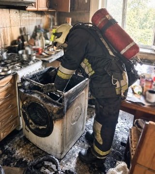 На Сихові внаслідок пожежі загинули троє котів, залишившись без нагляду