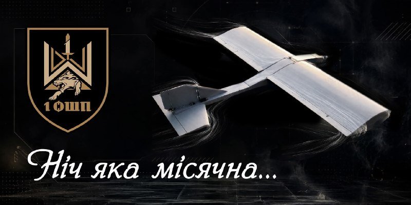 Пісні з дитинства як інструмент здобуття переваги: Перший окремий штурмовий батальйон імені Дмитра Коцюбайла впроваджує нові підходи та рішення.
