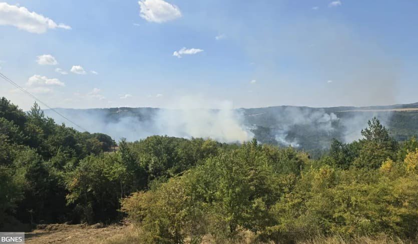 Пожежа на підприємстві з виробництва зброї в Болгарії: прокуратура розглядає версію умисного підпалу