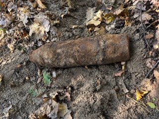 У Львівській області грибники виявили 76-мм артилерійський снаряд у лісі