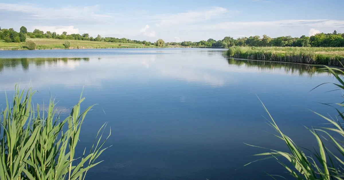 У Львівській області внаслідок падіння трактора у водойму загинув 52-річний чоловік