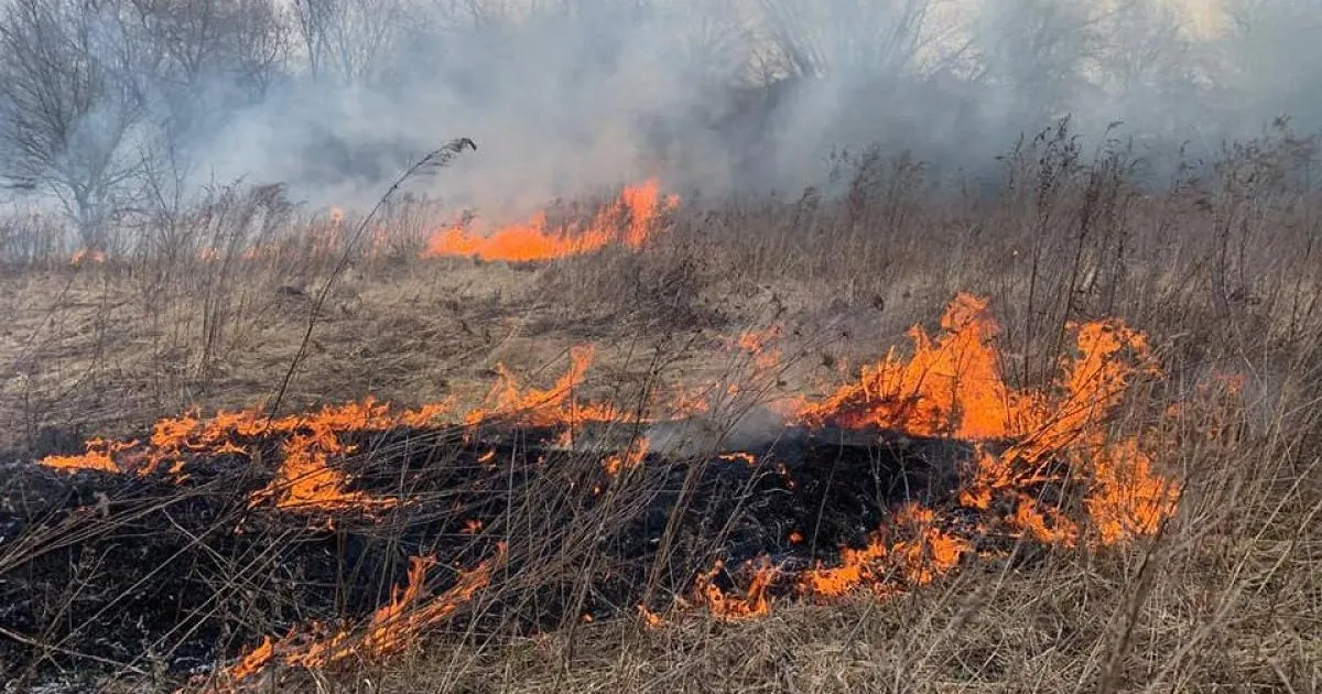 У Львівській області внаслідок пожежі сухої трави загинув 64-річний чоловік