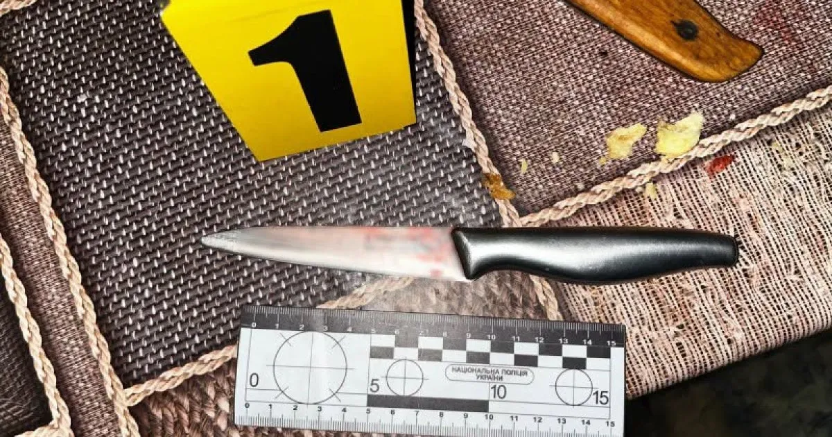 У Львівській області затримали 64-річного чоловіка за напад з ножем на сина
