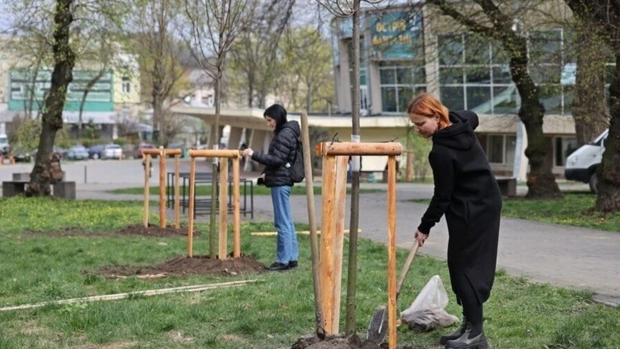У Львові подовжено термін прийому заявок на акцію з озеленення "Подаруй місту дерево"