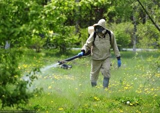 У Львові стартувала обробка парків від кліщів: розклад заходів та важливі рекомендації