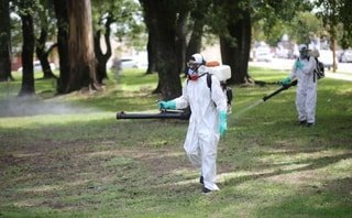 У Львові завершується планова осіння обробка парків і зелених зон від кліщів