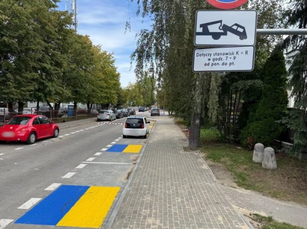 У Польщі мешканці висловили протест проти синьо-жовтої розмітки біля шкіл