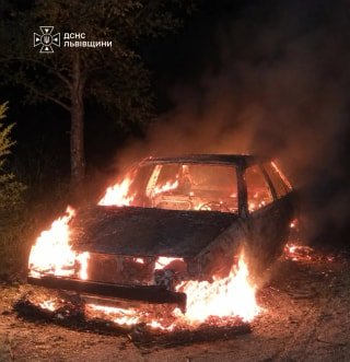 У селі Вовчатичі на Стрийщині внаслідок пожежі повністю згорів легковий автомобіль