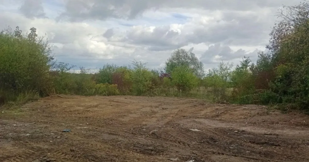 У Ставчанах ліквідували несанкціоноване сміттєзвалище