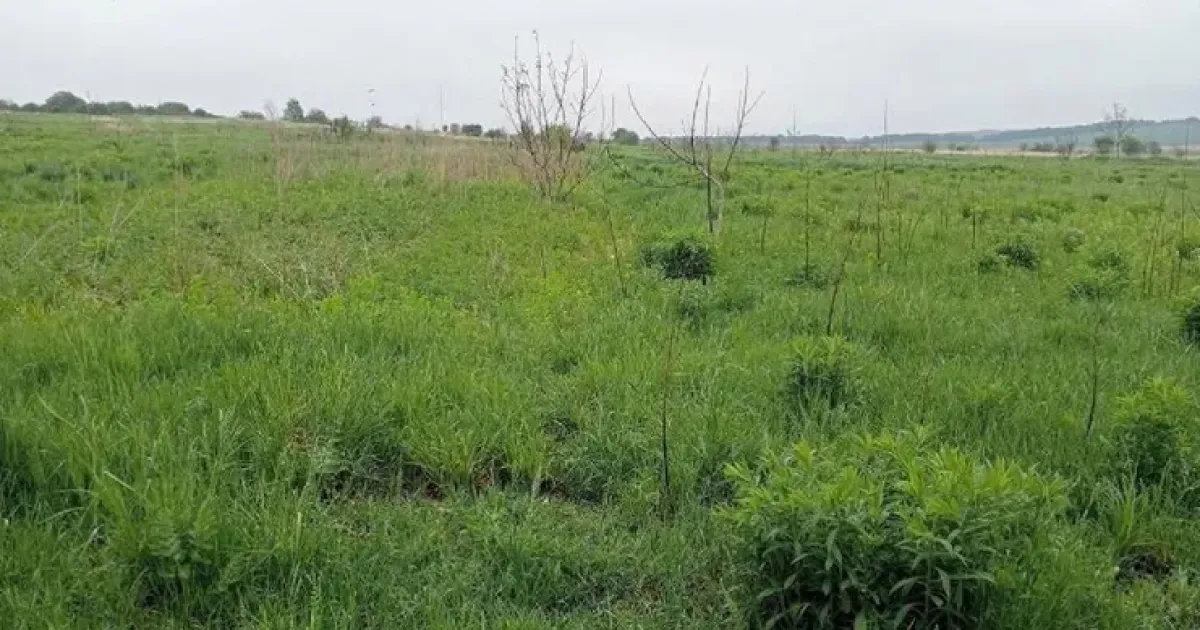 Виробник меблів інвестує близько 18 млн грн у земельну ділянку поблизу Сокаля