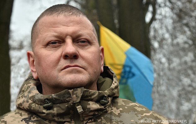 Залужний та нова партія лідирують у виборчих рейтингах України, згідно з дослідженнями Соціопсису