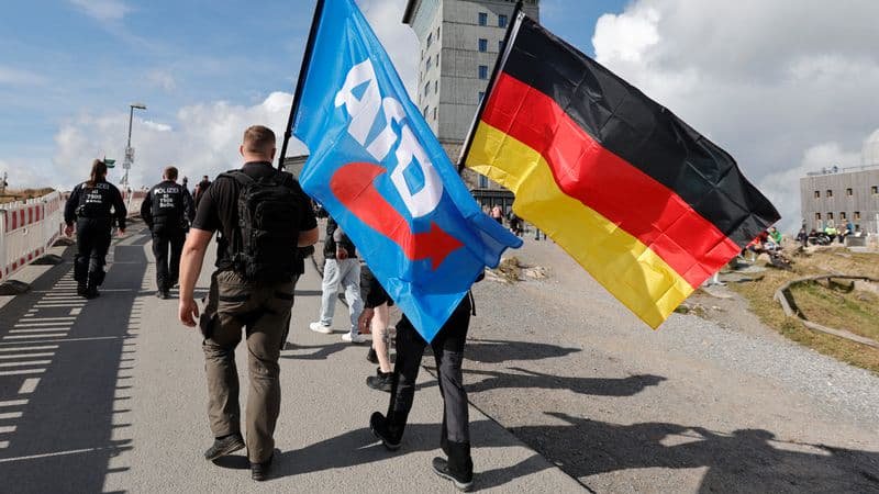 Більшість громадян Німеччини сприймає партію "АдН" як загрозу демократичним цінностям