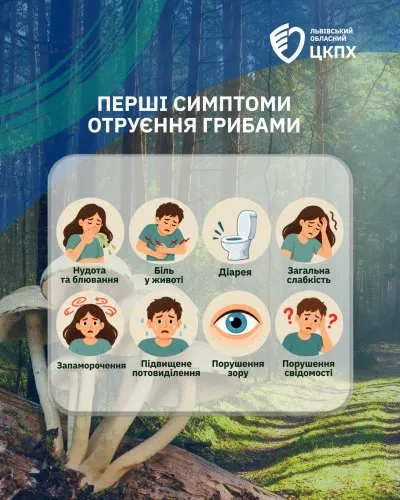 На Львівщині троє дітей та троє дорослих потрапили до лікарні через отруєння грибами