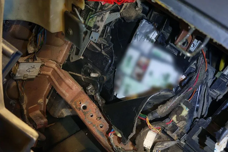 На Львівщині виявлено близько 30 тисяч контрабандних сигарет завдяки службовим собакам