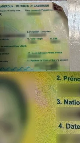 На пункті пропуску «Шегині» затримано громадянку Камеруну з підробленим паспортом