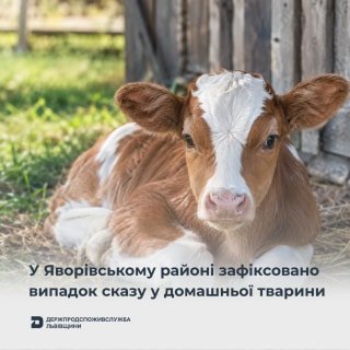 На Яворівщині введено 60-денний карантин через випадок сказу у теляти