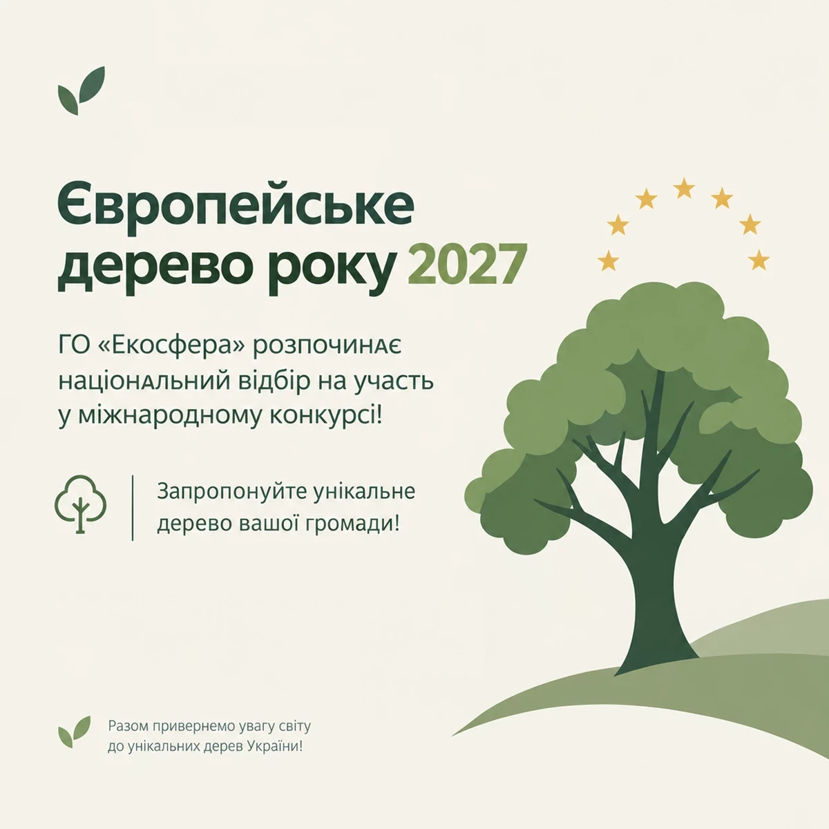 Оголошено старт відбору на конкурс "Європейське дерево року 2027": можливості для громад Львівщини