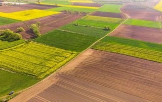 Перемишлянська громада оголосила електронні торги на оренду земельних ділянок
