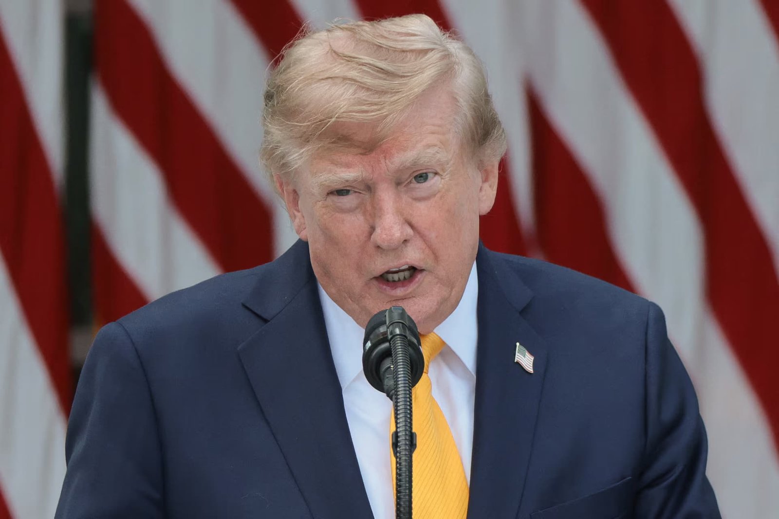 Трамп готовий вирішити питання з Starlink для України