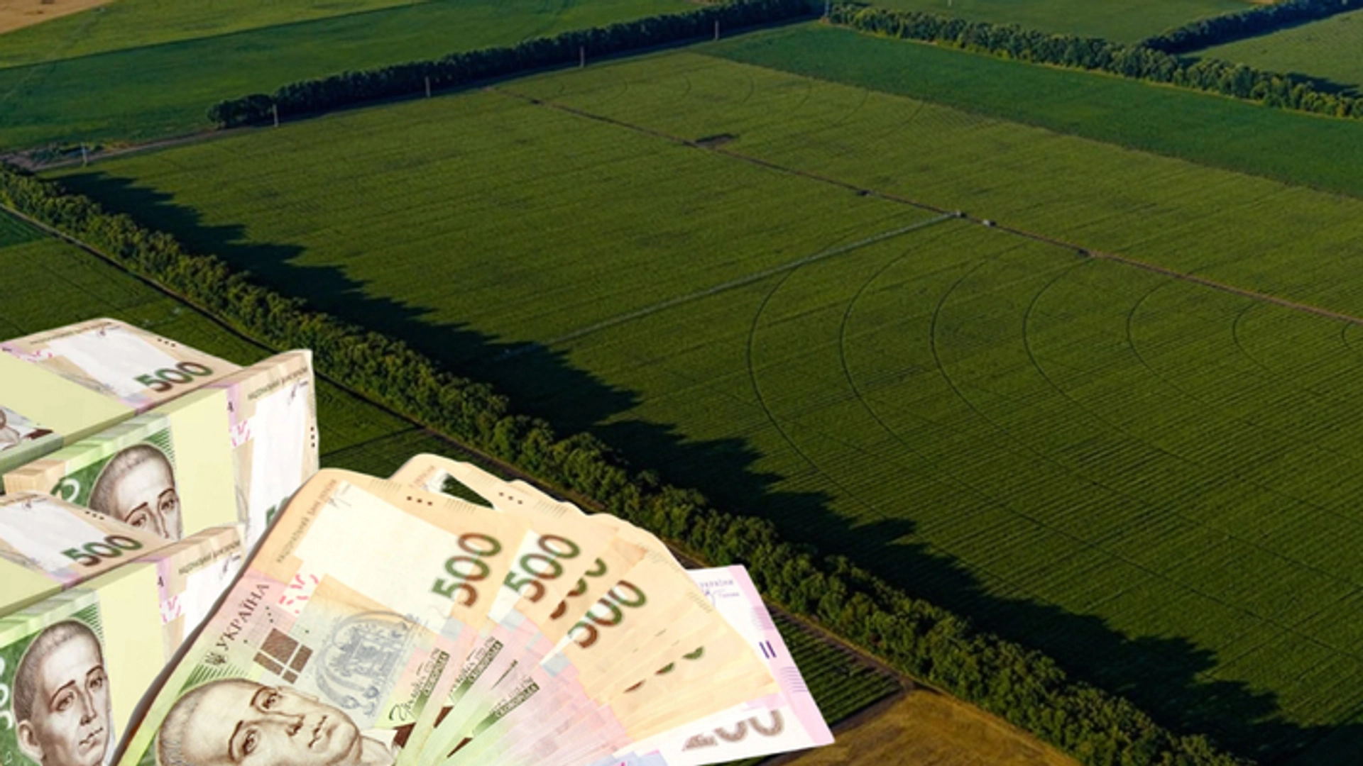 У Дніпропетровській області в депутата виявили мільйонне незадеклароване майно