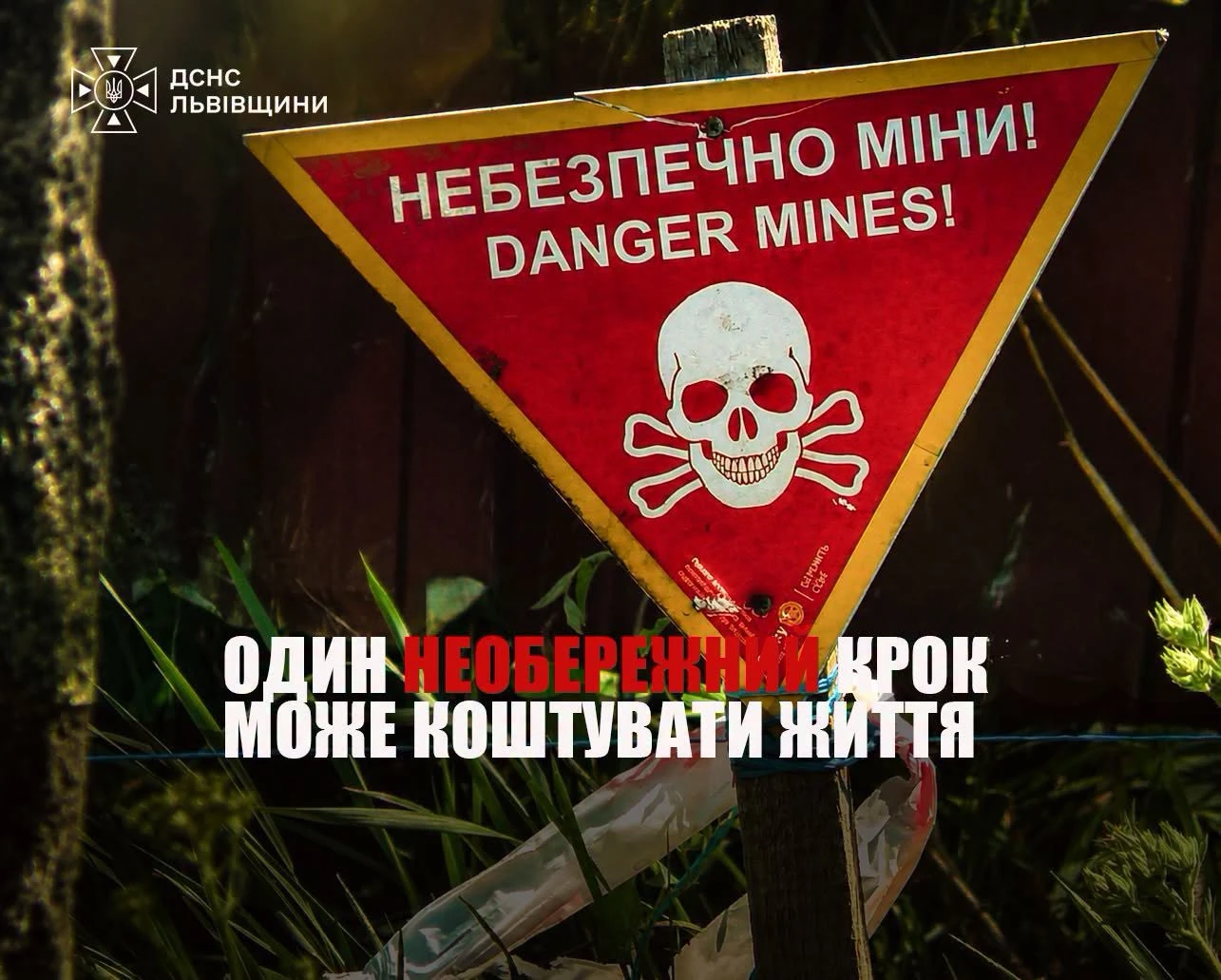 У Львівській області під час проведення земляних робіт виявлено два застарілі артилерійські снаряди
