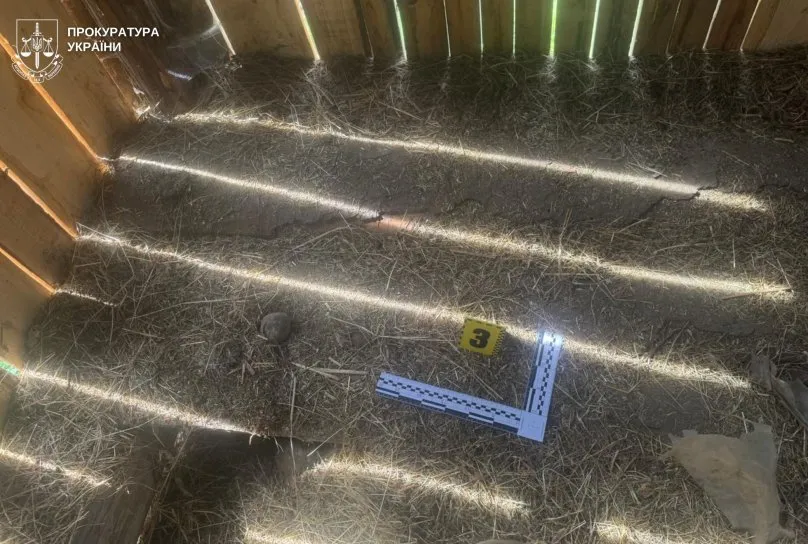 У Львівській області працівника школи підозрюють у зґвалтуванні 13-річної сусідки повторно