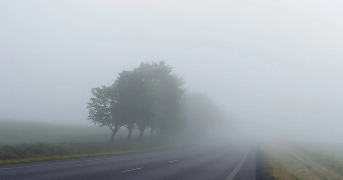 У Львові та області 19 жовтня очікуються дощі та туманні умови