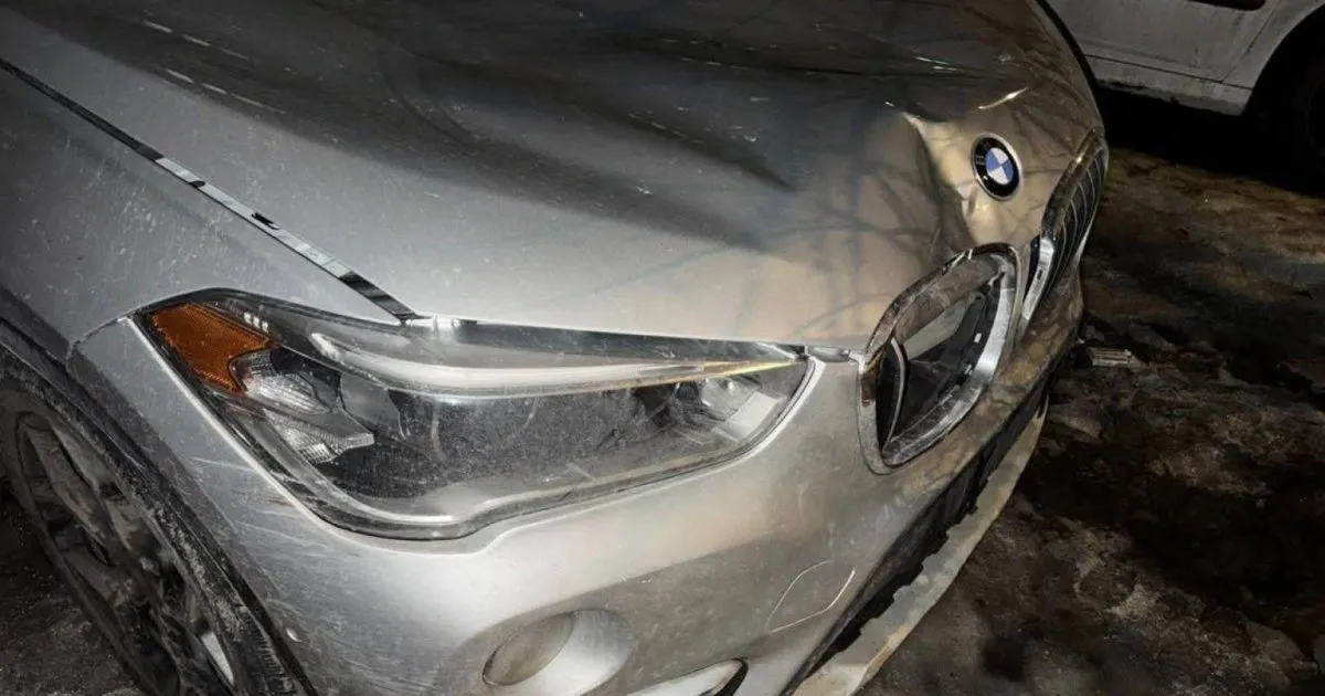 У Львові винесли вирок водієві BMW, який наїхав на жінку та зник з місця трагедії