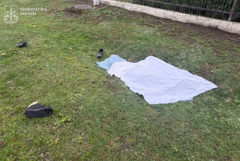Водій у стані алкогольного сп'яніння на Львівщині збив 80-річну жінку та зник із місця події